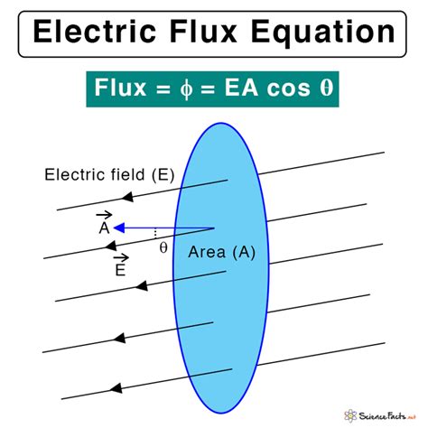 what is the net electric flux through the box|net electric flux physics.